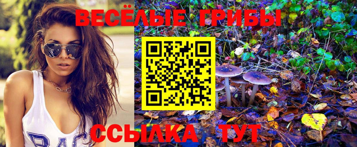 Галлюциногенные грибы GOLDEN TEACHER Нижнеудинск